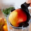 Lågsam Juicerpress Eldom Perfect Juicer - Billede 3