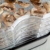 Fødevaredehydrator Eldom SG500 Elin - Billede 7