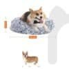 Blød, komfortabel hundeseng med aftageligt betræk, 70 cm, til små og mellemstore hunde.
