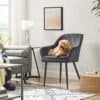 Elegant stol i stue med hund, moderne indretning og kunst på væggen.