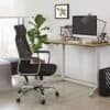 Sort ergonomisk kontorstol med åndbar ryg og justerbar højde.
