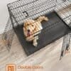Foldbar hundekurv med dobbeltdøre og sort finish.