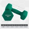 Songmics-håndvægte sæt, 2 x 4 kg Neopren håndvægte, træning i hjemmet, vandtæt og ikke-glid med mat finish, 20,5 x 9 cm, grøn syl68gn - Billede 2