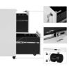 Songmics Mobile File Cabinet, med 2 skuffer, lås, til kontordokumenter, suspenderede mapper, forudmonteret, 39 x 45 x 69,5 cm (L X W X H), White OFC052W01 - Billede 5