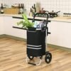 Songmics indkøbsvogn, sammenfoldelig indkøbskurv, solid, isoleret kølepose, 35L, aftagelig rygsæk, sort - Billede 4