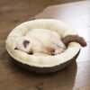 Hundeseng, Hundesofa, Katteseng, Donutform, Rund, 65 Cm Dia, Brun - Billede 7