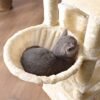 Feandrea stort katttræ med 3 kattehuler, 164 cm kattårnet, beige PCT098M01 - Billede 5