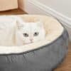 Hvid kat i rund hundeseng med beige indvendig polstring.