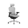 SONGMICS Office Chair, Ergonomic Adjustable Canvas Chair, Reclining Backrest, Front or Rear Adjustable Seat, 4D Armrests, Lumbar Support, Capacity 150kg, Dove Grey OBN065G01