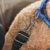 Sikkerhedsclip til hundesnor for små hunde i sort og metal.