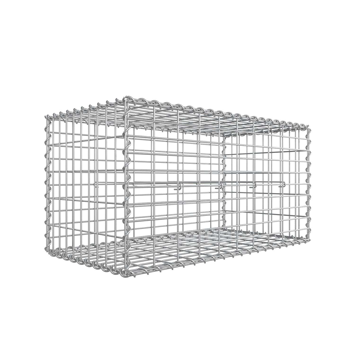 Stålgabion kurv til havebrug, galvaniseret, 100x50x50 cm, dekorativ.
