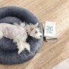 FEANDREA Dog Bed, Donut Cat Bed, Fluffy Calming Pet Bed with Removable, Washable Cover, Soft Long Plush, 70 cm, Dark Grey - Billede 3