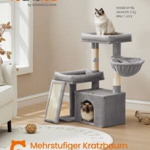 Kattekradsetræ i gråt med to katte, høj kvalitet og komfort.