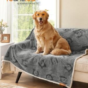 Hund på sofa med vandtæt hundetæppe og briller.