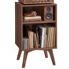 VASAGLE Side Table, Record Player Stand, Holds 160 Albums